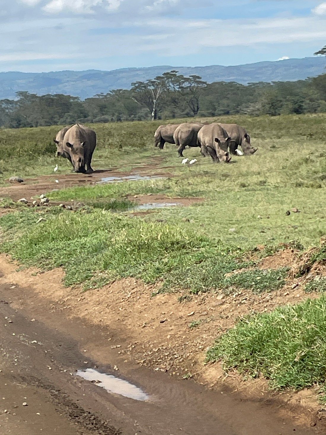 Queen Elizabeth National Park