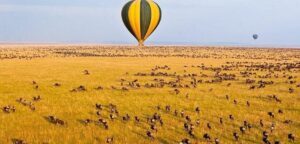 How Much Does a Kenya Trip Cost? A Realistic How Much Does a Kenya Trip Cost? A Realistic, Detailed
