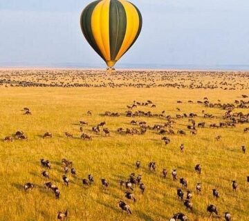 What It is Really Like to Travel to Kenya as a Foreigner
