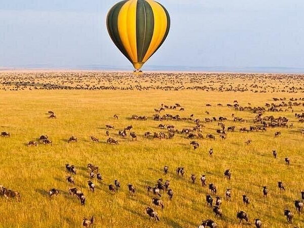 Your Ultimate Guide to a Masai Mara Safari Tour