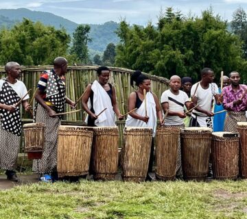 Gorilla Trek from Kigali: The Fastest, Smartest & Most