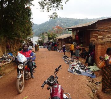 Eco Tourism and Gorillas
