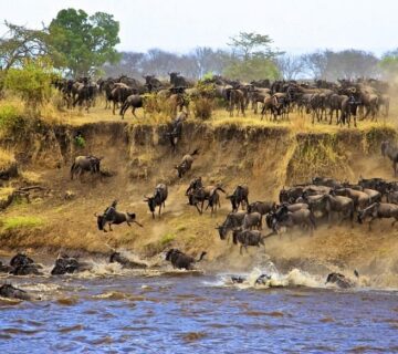 Tanzania Will Break Your Heart and You Will Thank It