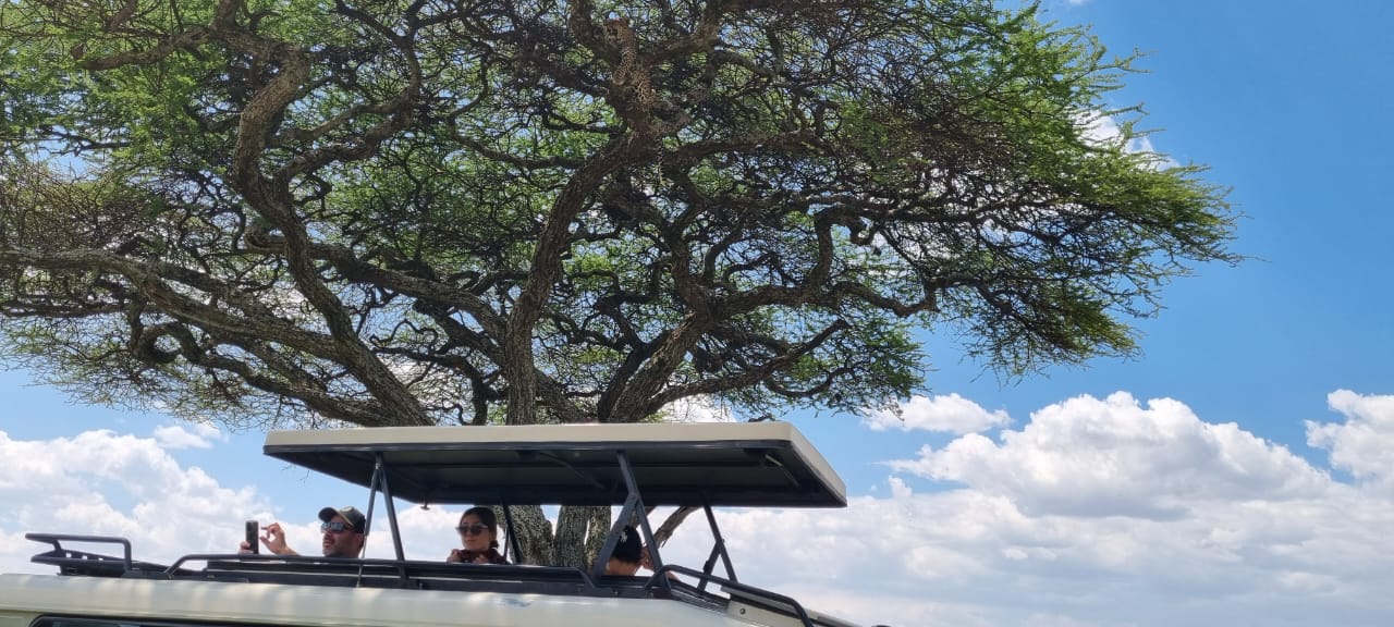 Safari Lodges and Camps in Serengeti National Park