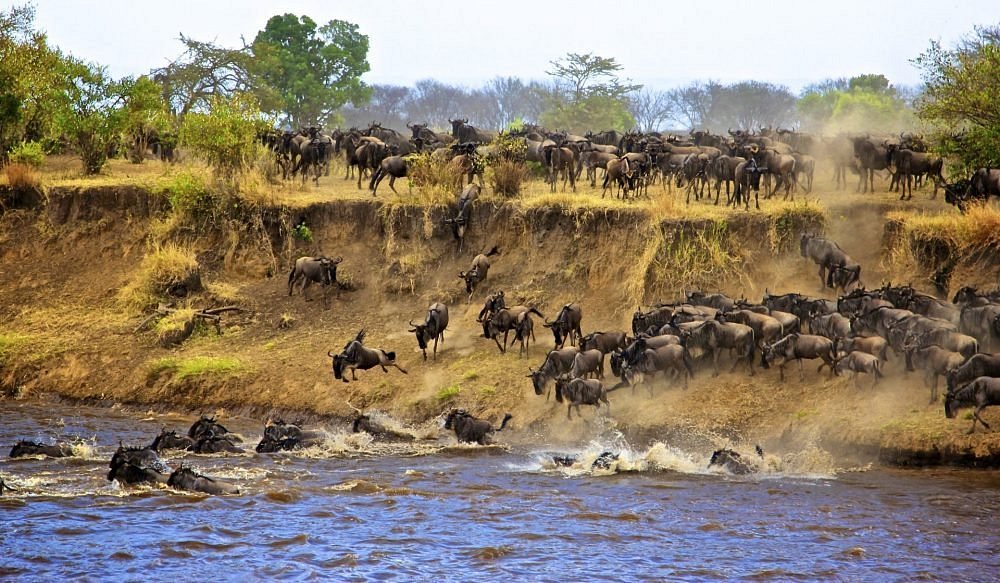 Safari Lodges and Camps in Serengeti National Park