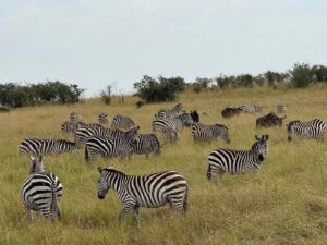 Tanzania Will Break Your Heart and You Will Thank It Tanzania Will Break Your Heart and You Will Thank It