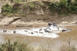 Queen Elizabeth National Park in Uganda