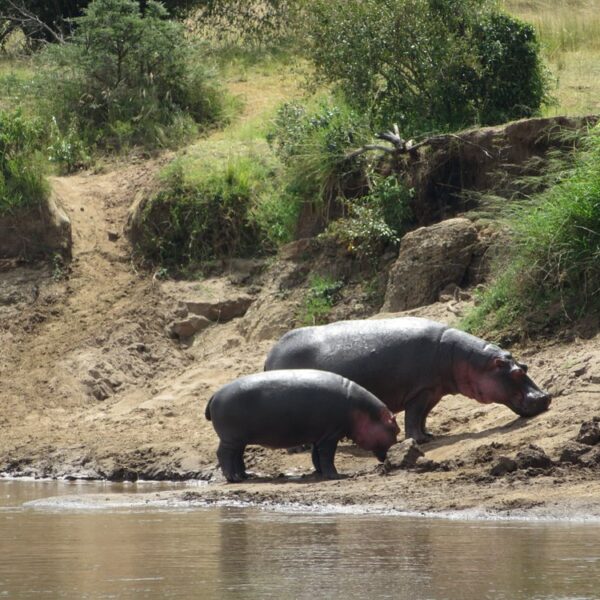 Queen Elizabeth National Park in Uganda