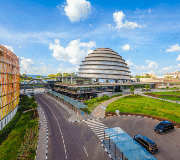 Gorilla Trek from Kigali: The Fastest, Smartest & Most