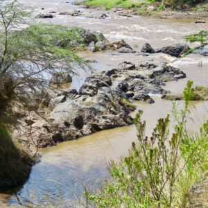 10 African Safari Experiences Worth Flying Across 10 African Safari Experiences Worth Flying Across