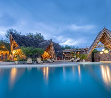 Top Safari Experiences for Adventure Lovers: