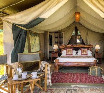 Ultimate Guide to the Best Kenya Safari Lodges for Every