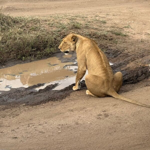 Attractions of Queen Elizabeth National Park