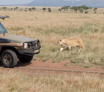 If You Love Adventure, Tanzania Will Steal Your Heart