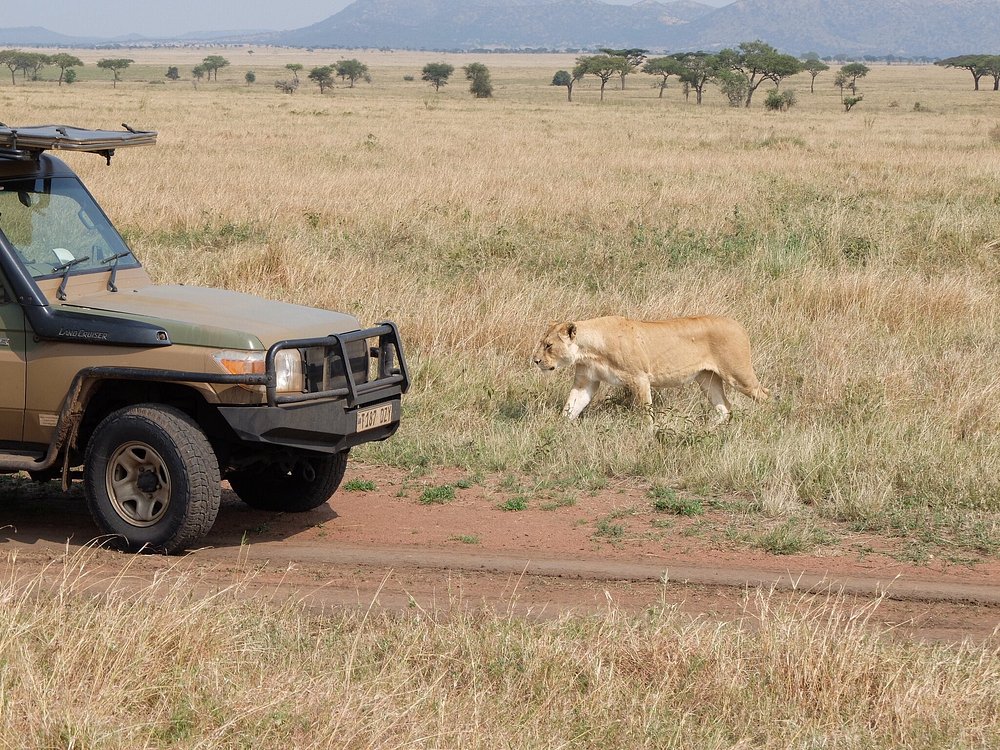 If You Love Adventure, Tanzania Will Steal Your Heart