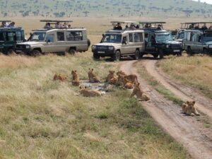 Major Facts on Maasai Mara National Reserve Major Facts on Maasai Mara National Reserve