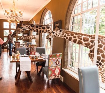 Ultimate Guide to the Best Kenya Safari Lodges for Every
