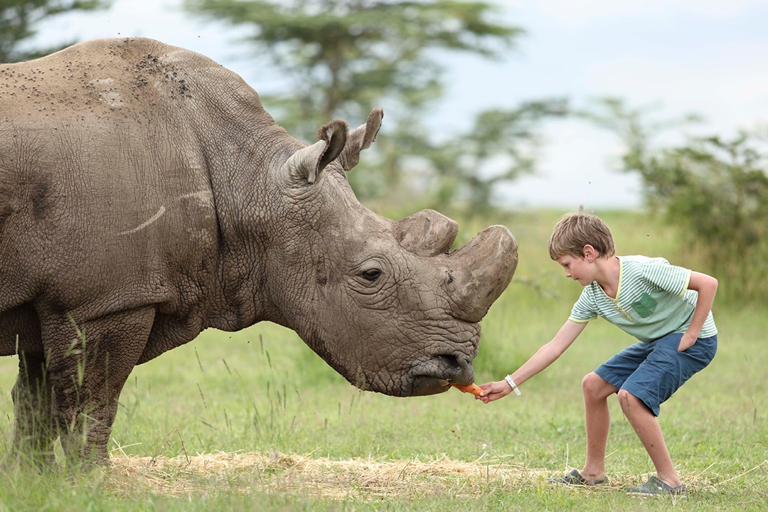 Tracking rhinos in Uganda tracking rhinos in Uganda