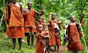How Much Does an East African Safari Really Cost in 2026? How Much Does an East African Safari Really Cost in 2026?