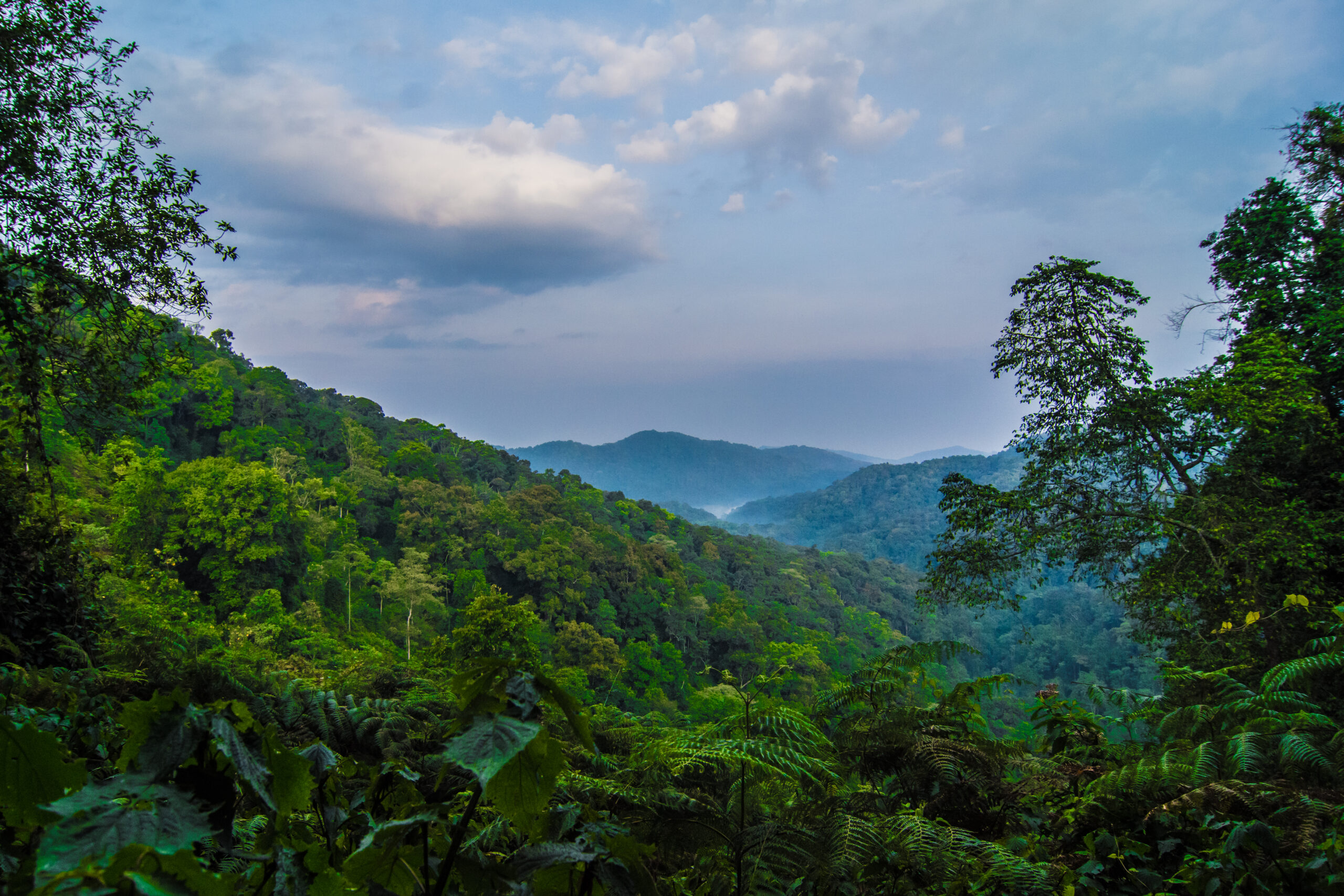 3 Days Volcanoes National Park Itinerary: The Perfect Rwanda 3 Days Volcanoes National Park Itinerary: The Perfect Rwanda