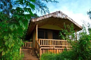 Affordable Bwindi Gorilla Lodges Affordable Bwindi Gorilla Lodges