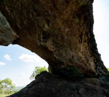 Top Safari Experiences for Adventure Lovers: