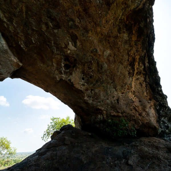 Top Safari Experiences for Adventure Lovers: