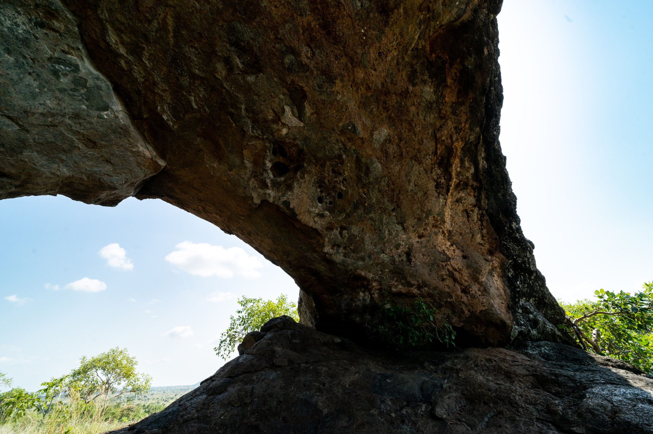 Top Safari Experiences for Adventure Lovers: