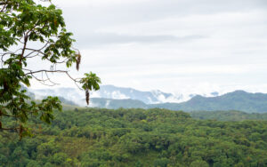 What the Perfect African Vacation Actually Looks Like
