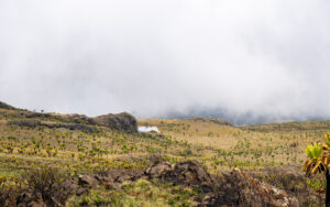 Luxury in the Wild: How Tanzania Redefines High-End Travel
