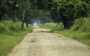 What the Perfect African Vacation Actually Looks Like