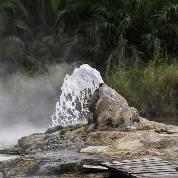 Solo Safari Travel in Africa: What It Is Really Like