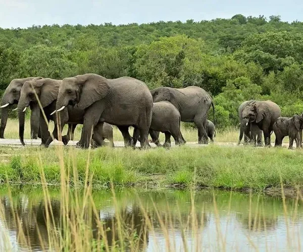 10 Things Every First-Time Visitor Must Know Before