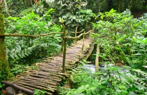 How to Plan the Perfect Rwanda Itinerary: 3- 5- & 7-Day How to Plan the Perfect Rwanda Itinerary: 3- 5- & 7-Day