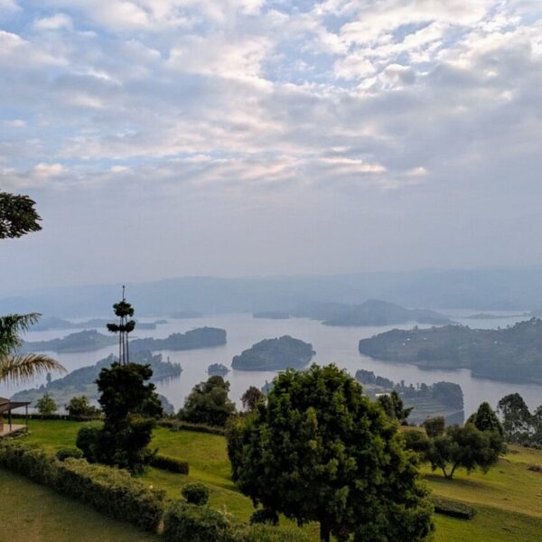 Best Safaris for Photographers: Where to Capture Africa