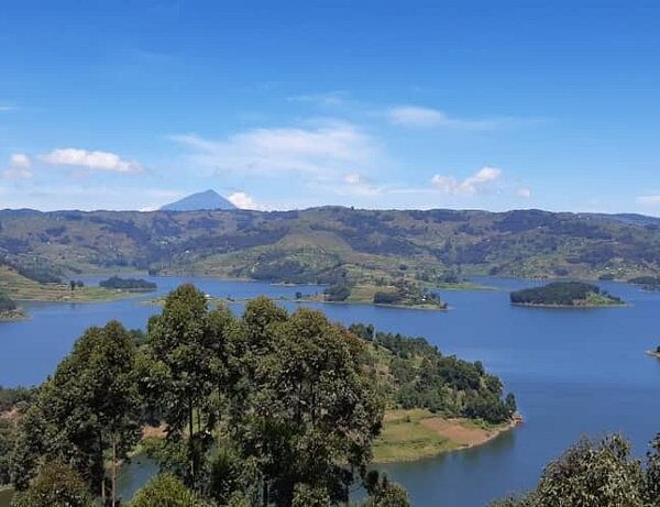 How Much Does an East African Safari Really Cost in 2026?