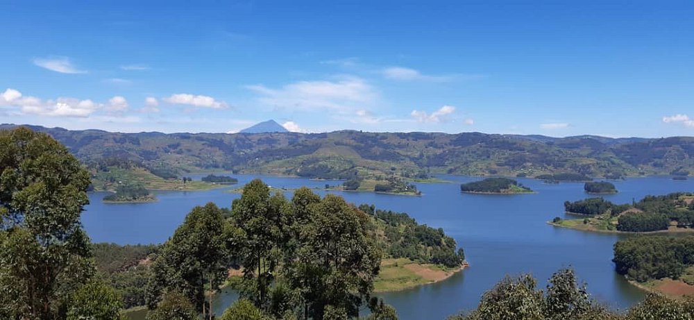 How Much Does an East African Safari Really Cost in 2026? 10 Powerful Reasons Why Uganda Is Called the Pearl of Africa