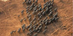 South Sudan Travel Guide 2026: Top Attractions You Need South Sudan Travel Guide 2026: Top Attractions You Need