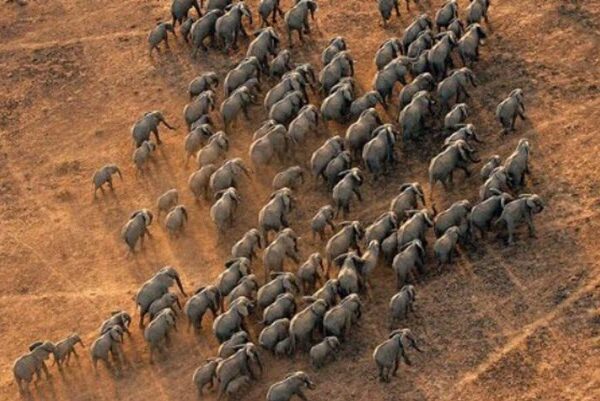 Game Reserves in South Sudan: A Comprehensive Guide