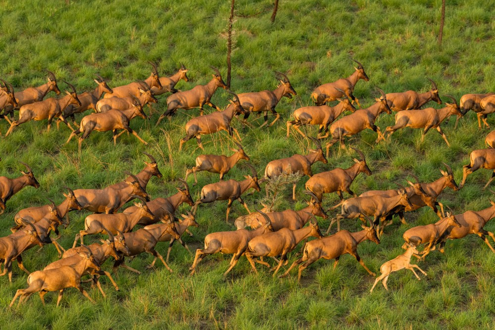 South Sudan Travel Guide 2026: Top Attractions You Need