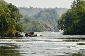 What Is a Game Drive Safari? The Ultimate Guide to Africa What Is a Game Drive Safari? The Ultimate Guide to Africa