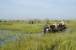 Fishing Safaris at Murchison Falls in Uganda: