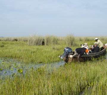 Fishing Safaris at Murchison Falls in Uganda: