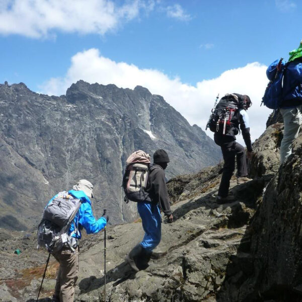 Rwenzori vs Kilimanjaro Trekking: Which African Mountain