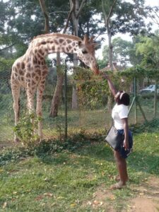Uganda Wildlife Education Center: A Gateway to Conservation