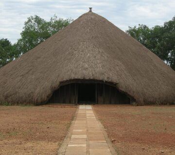 Unmissable 2026 Uganda Wildlife Safari Deals