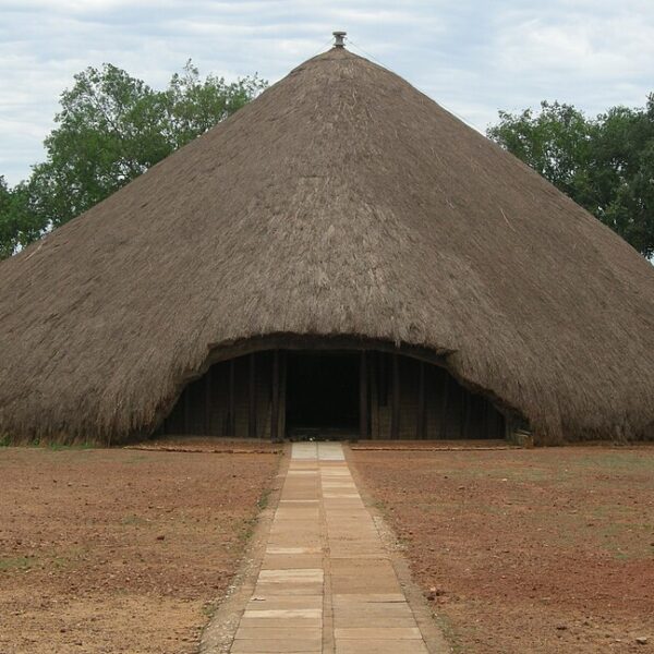 Unmissable 2026 Uganda Wildlife Safari Deals