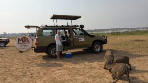 Top Safari Experiences for Gen Z Travelers: The Ultimate Top Safari Experiences for Gen Z Travelers: The Ultimate