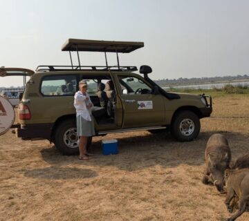 Queen Elizabeth National Park Packages: The Ultimate Guide