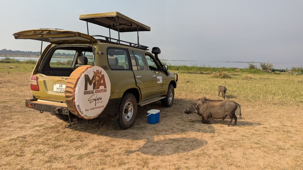 10 Fascinating Facts About African Warthogs Top 20 Ugliest Animals in the World (Ranked with Photos)
